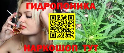 круглые Бийск