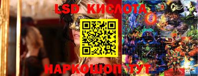 дурь Берёзовский