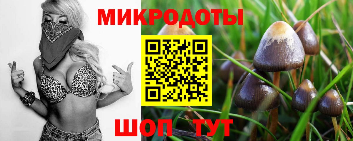 Псилоцибиновые грибы GOLDEN TEACHER  Вход с VPN  Избербаш 